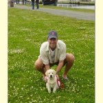 Integrity Farm Labrador Retriever Pups